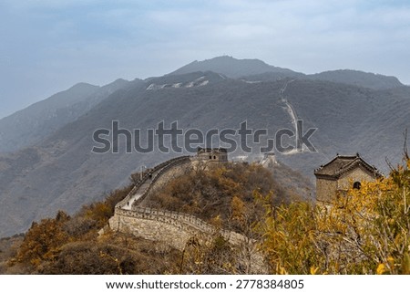Great Wall path of the Mutianyu section near Beijing in Autumn season with golden yellow colors