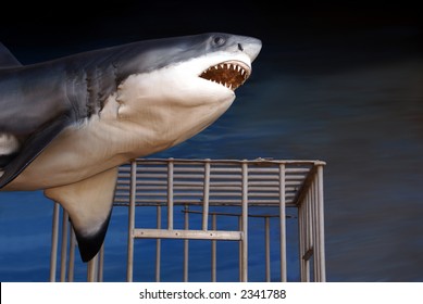 Great White Shark And Diver's Cage