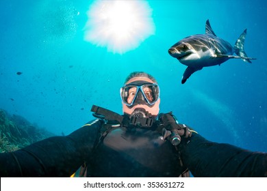 Great White Shark Ready To Attack A Scuba Diver