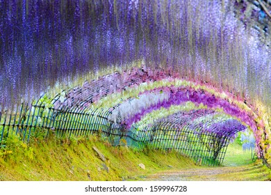 2,777 Wisteria Flower Tunnel Images, Stock Photos & Vectors | Shutterstock