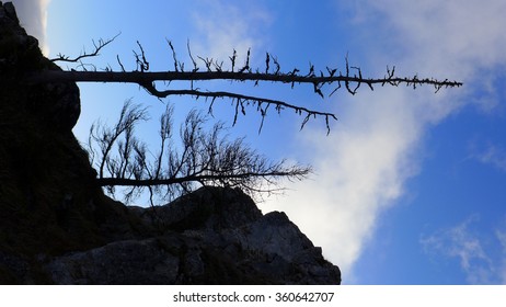 Greater Fatra National Park In Slovakia