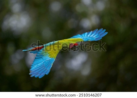Similar – Image, Stock Photo twosome Animal portrait