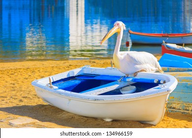 Greece, Petros Famous Pelican Of Mykonos Sitting On A Boat