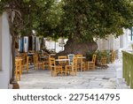 Greece. Tinos island Cyclades. Outdoors traditional cafe at Pyrgos village. Empty chairs and tables under a huge plane tree