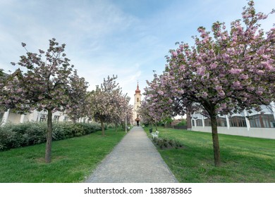 Greek Catholic Church In Sarospatak, Hungary.