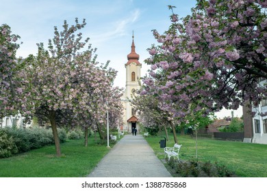 Greek Catholic Church In Sarospatak, Hungary.