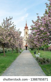 Greek Catholic Church In Sarospatak, Hungary.