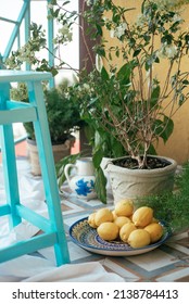 Greek Still Life Balcony Vase Pot. Green Leaves And Greek Tiles And Lemons