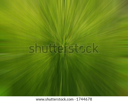 Similar – Image, Stock Photo spring shoots Environment