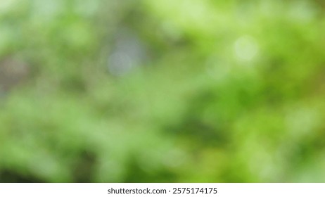 green abstract background with soft texture