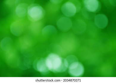 Green abstract bokeh glistening with fluffy white lumps or clouds for natural background, defocused garden plants, blurred green background.