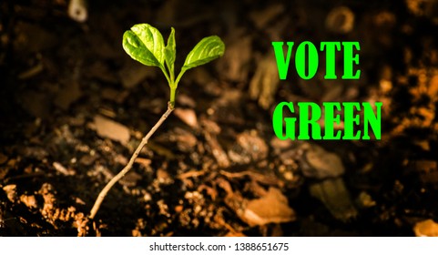 Green abstract surface texture