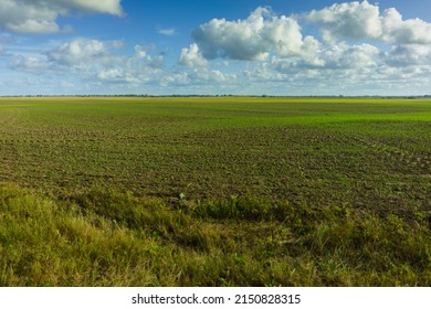 Green Agricultural Farm Field with Blue Sky and White Clouds in the Background, Grassland, Country Meadow Landscape, 
World Environment Day Concept, Natural Background, Backdrop - Shutterstock ID 2150828315