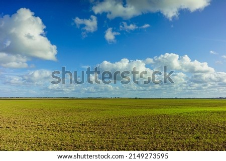 Green Agricultural Farm Field with Blue Sky and White Clouds in the Background, Grassland, Country Meadow Landscape, 
World Environment Day Concept, Natural Background, Backdrop