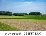 Green agriculture fields with fresh plantation at the Flemish countryside aroud Zaventem, Flemish Brabant, Belgium
