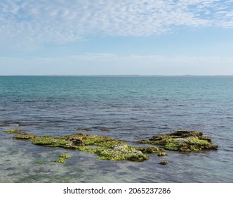 Green Algae Covered Rocks In The Clean Blue Waters Of Guichen Bay, On The Limestone Coast At Robe, South Australia