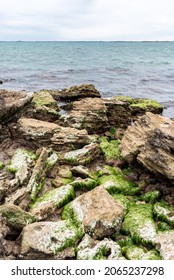 Green Algae Covered Rocks On The Shore Of Guichen Bay, On The Limestone Coast At Robe, South Australia