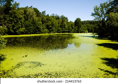 Green Algae Lake