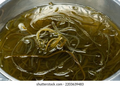 Green Algae Nature Background, Water Sea Plant Research In Environment Science Laboratory, Aquatic Leaf Macro Texture Of Seaweed, Organic Life In Biotechnology Underwater Ocean With Light, Biofuel Use