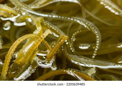 Green Algae Nature Background, Water Sea Plant Research In Environment Science Laboratory, Aquatic Leaf Macro Texture Of Seaweed, Organic Life In Biotechnology Underwater Ocean With Light, Biofuel Use