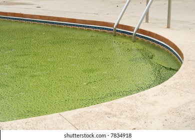 Green Algae Pool