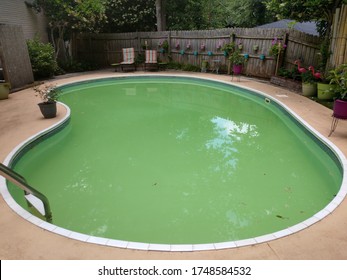 Green Algae Pool Cleaning Backyard Swimming