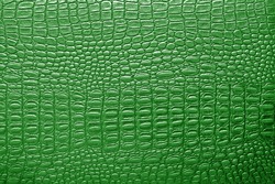 Green Alligator Patterned Background