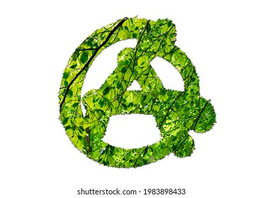 Green Anarchism, Cirlce-a With Natural Pattern