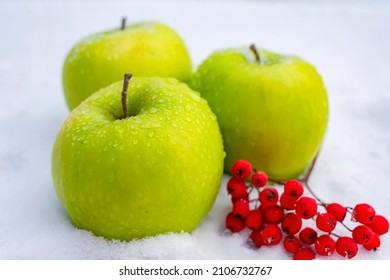 Green apples lie on the snow with a sprig of red rowan berries