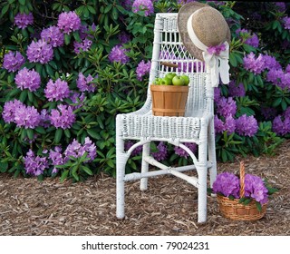 Green Apples On White Wicker Chair In Garden