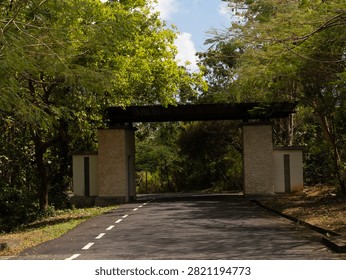 Green archway frames winding path through dense forest. Sunlight filters through tall, leafy trees above