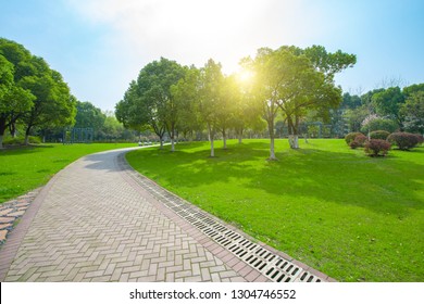 Green areas and woods in city parks - Powered by Shutterstock