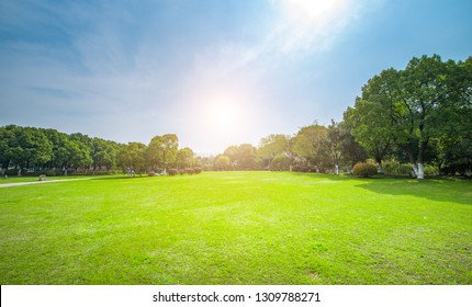 Green areas and woods in city parks - Powered by Shutterstock