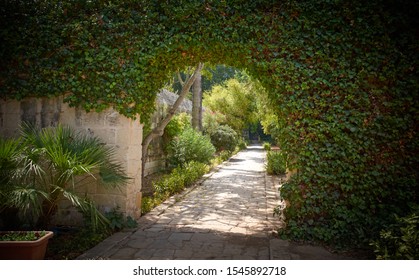 Green Ark In San Anton Gardens Attard Malta