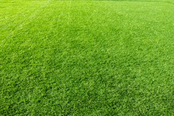 Green grass texture background stock photo containing backdrop and ...