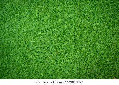 Green artificial grass natural background - Shutterstock ID 1662843097