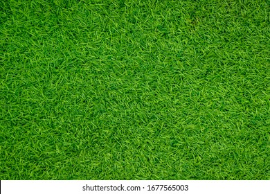 Green artificial grass natural background
