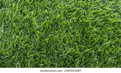 Green artificial grass natural background. Green grass background texture. Top view. Close up.  - Shutterstock ID 2349345289