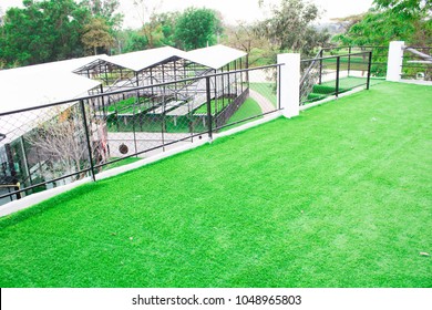 Green artificial grass, open floor