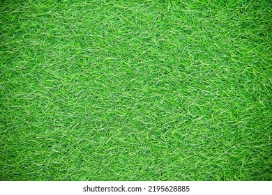 Green Artificial Grassy Field Texture In Garden On Background