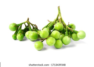 Green Aubergine Eggplant Isolated On White Stock Photo (Edit Now ...