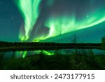Green Aurora and fir trees silhouettes. Yellowknife, Northwest Territories, Canada. Real photos.