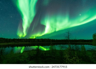 Green Aurora and fir trees silhouettes. Yellowknife, Northwest Territories, Canada. Real photos. - Powered by Shutterstock