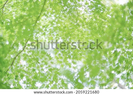 Similar – Image, Stock Photo summer resort Light Green