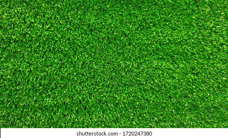 green back ground texture,wallpaper concept