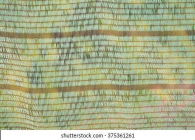 green background
