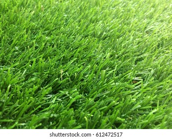 Green background