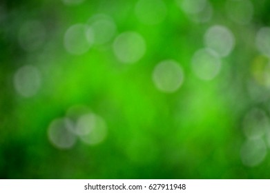 Green background. - Shutterstock ID 627911948