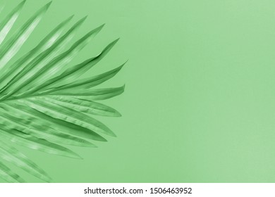 Green background with leaf and copyspace