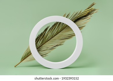 Green Background With Palm Leaf For Branding And Packaging Presentation. Natural Skincare Beauty Product Concept.